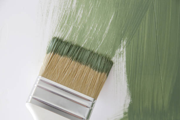 Best Environmental Consulting for Mold Prevention  in Ashland, CA
