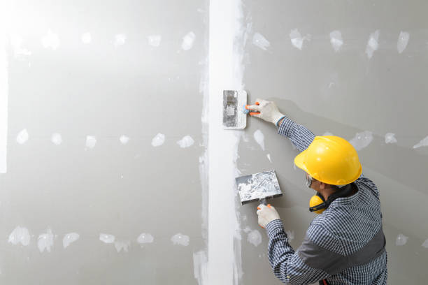 Best Air Quality Testing for Mold Spores  in Ashland, CA