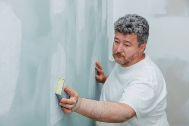 Best Asbestos and Lead Testing During Mold Inspection  in Ashland, CA