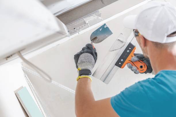 Best Industrial Mold Remediation  in Ashland, CA